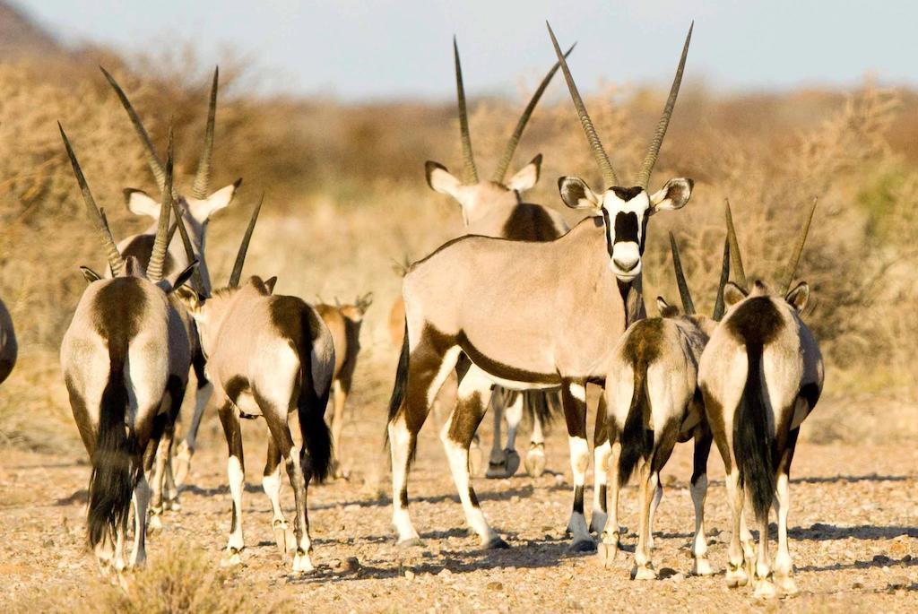 Tutwa Desert Lodge Augrabies 外观 照片