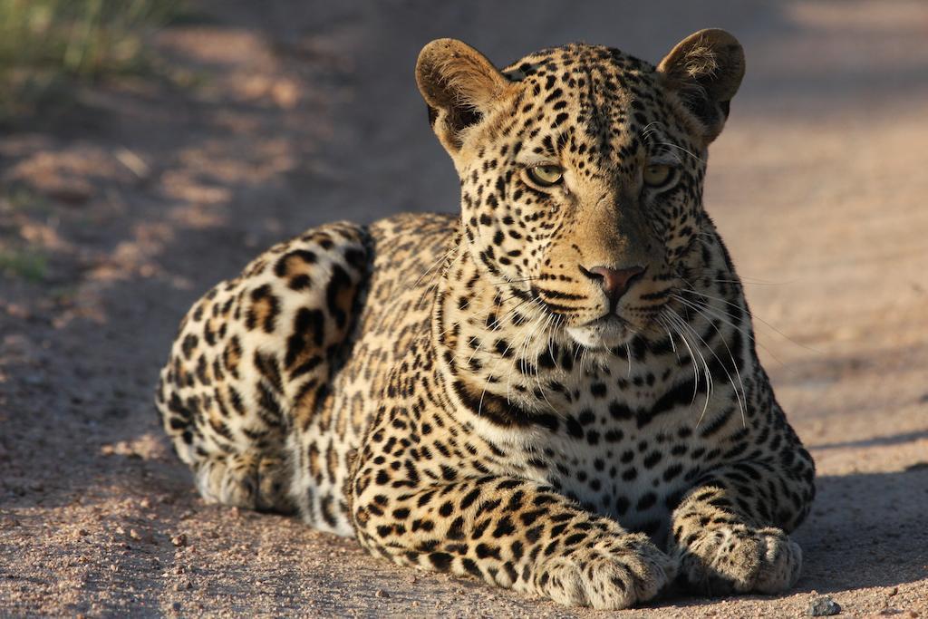 Tutwa Desert Lodge Augrabies 外观 照片