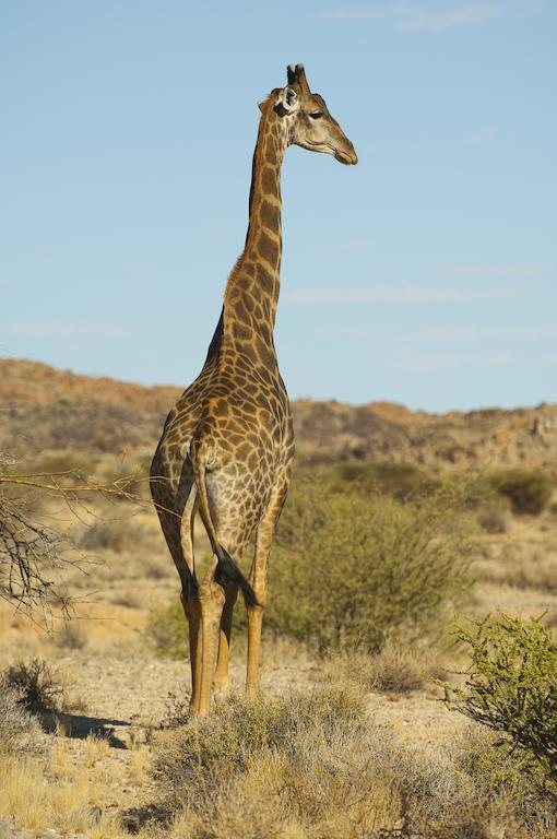 Tutwa Desert Lodge Augrabies 外观 照片