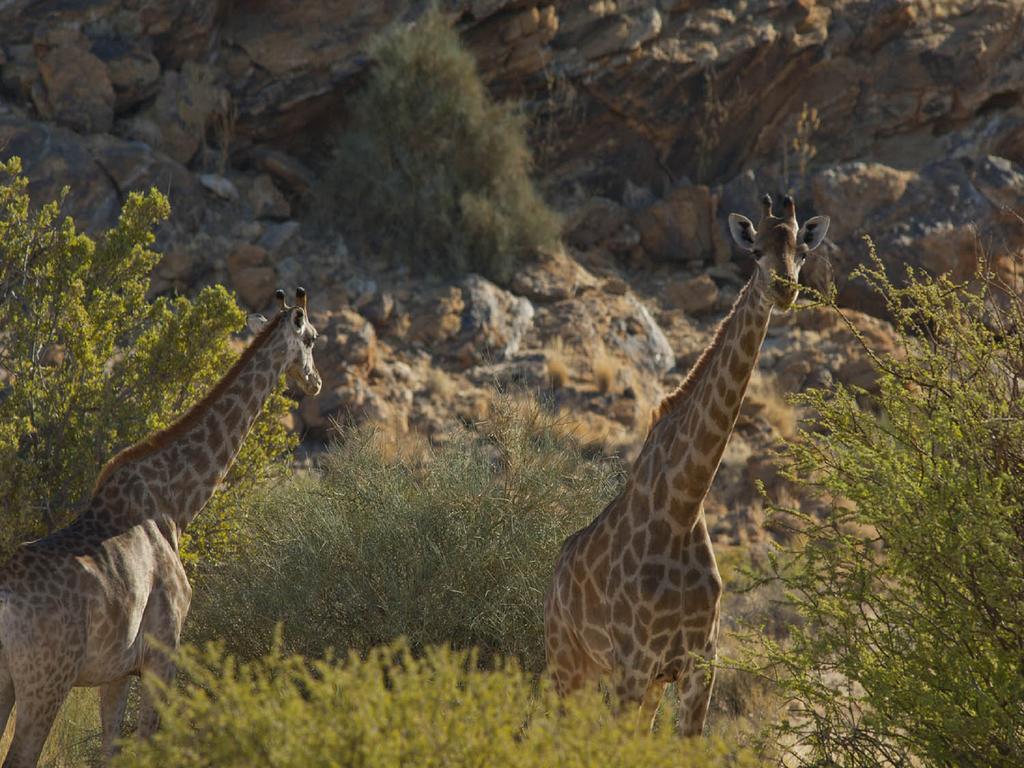 Tutwa Desert Lodge Augrabies 外观 照片