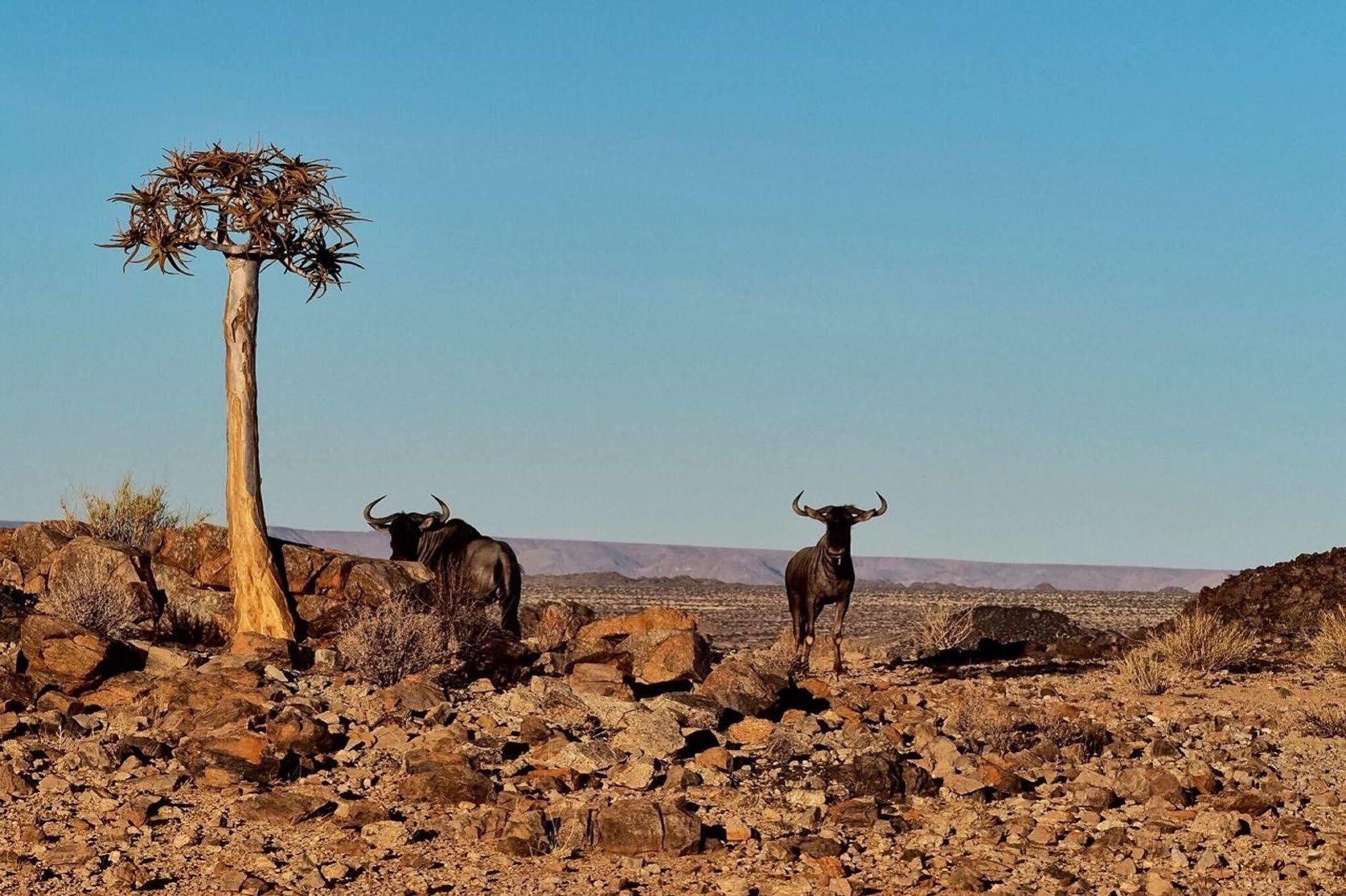 Tutwa Desert Lodge Augrabies 外观 照片